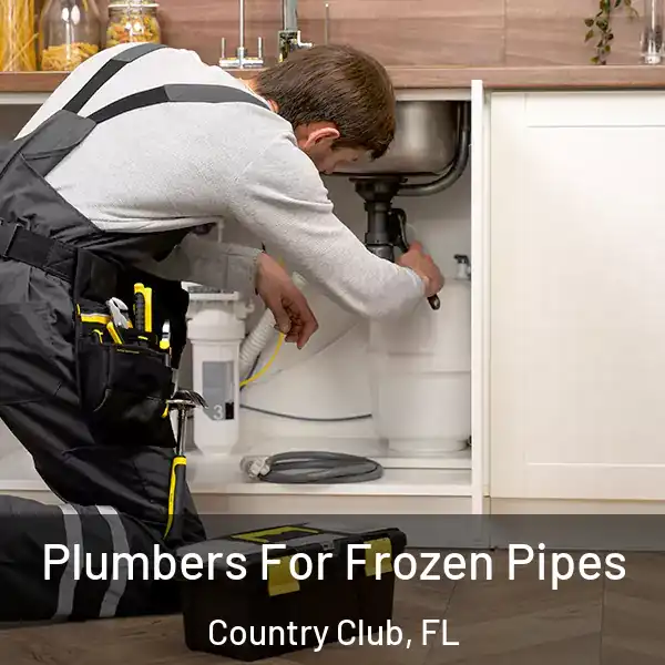  Plumbers For Frozen Pipes Country Club, FL